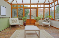 free Brandy Carr conservatory quotes
